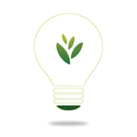 green efficiency light bulb