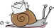 snail mail icon